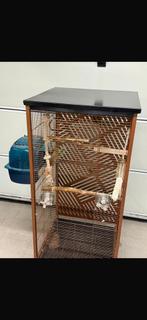 Papegaaien kooi, Ophalen, Vogelkooi