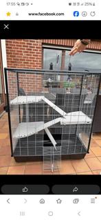 Kooi + 2 ratten en kleine benodigdheden, Dieren en Toebehoren, Ophalen, Gebruikt, Kooi, Rat