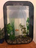 Biorb AQUARIUM- 43x43,5x64,5 cm - 60L - Zwart, Dieren en Toebehoren, Ophalen, Gebruikt, Leeg aquarium