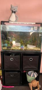 Aquarium met toebehoren, Ophalen, Gebruikt, Leeg aquarium