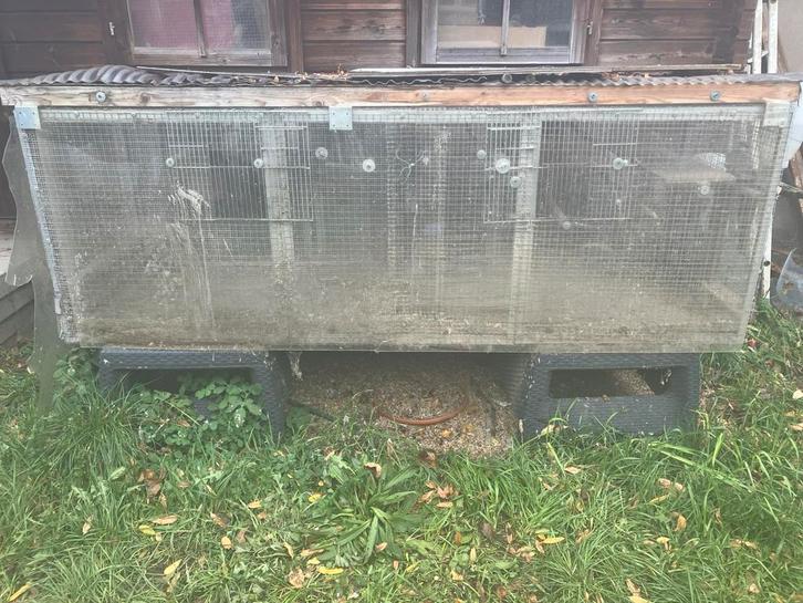 GROTE METALEN KWEEKBAK VAN 1M20 NU 100 EURO, Animaux & Accessoires, Oiseaux | Cages & Volières, Comme neuf, Cage à oiseaux, Métal