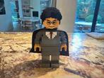 LEGO gelijmd Harry Potter display model - zeldzaam, Ophalen of Verzenden, Zo goed als nieuw, Lego
