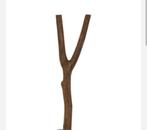 Op zoek naar takken, Tuin en Terras, Brandhout, Ophalen, Takken