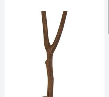 Op zoek naar takken  beschikbaar voor biedingen