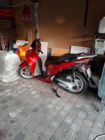 Honda sh 125, Scooter, Particulier, 1 cylindre, 125 cm³