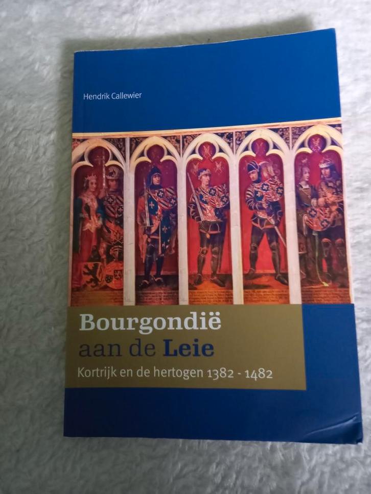 Studieboeken onderwijskunde, economie, geschiedenis, Boeken, Studieboeken en Cursussen, Zo goed als nieuw, Ophalen of Verzenden