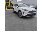 Toyota RAV-4 Premium Plus AWD 4X4, Automaat, Euro 6, 2497 cc, 131 kW