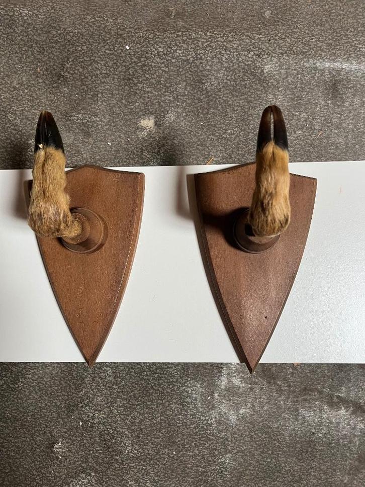 PORTE-FUSIL PATTES DE CHEVREUIL, Collections, Objets militaires | Général, Enlèvement