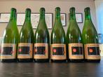 Cantillon Fou’Foune 2018/2023, Collections, Marques de bière, Enlèvement, Neuf