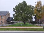 Bouwgrond te koop in Lanaken, Immo, Gronden en Bouwgronden, Verkoop zonder makelaar, 500 tot 1000 m²
