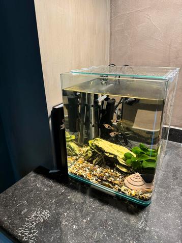 Mooi stevig glas aquarium met visjes pomp en toebehoren 