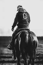 Paarden gezocht, Dieren en Toebehoren, Paarden