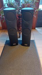 Zelden aangeboden Loewe LS 67 speakers, Enlèvement