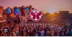 Want voor Tomorrowland 2024, Tickets en Kaartjes, Evenementen en Festivals
