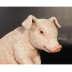 Porcelet Assis – Statue Cochon - Grande Longueur 38 cm, Enlèvement ou Envoi, Neuf