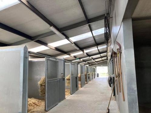Stalling vrij Aarschot/rillaar, Dieren en Toebehoren, Stalling en Weidegang, Stalling, Weidegang, 2 of 3 paarden of pony's