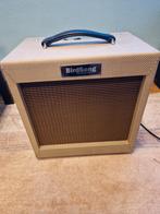 Birdsong Kestrel, Musique & Instruments, Enlèvement ou Envoi