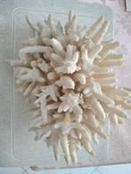 Zee koraal, Huis en Inrichting, Woonaccessoires | Kransen, Ophalen