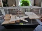 Hamsterkooi + toebehoren - 70 (l) x40 (l) x40 (h), Kooi, Gebruikt, Minder dan 75 cm, Hamster