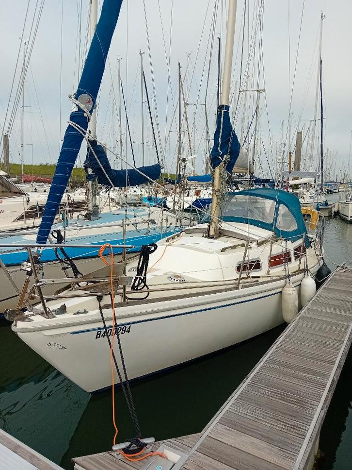 Voilier Jaguar 27, Watersport en Boten, Kajuitzeilboten en Zeiljachten, Gebruikt, Tourjacht of Cruiser, Polyester, 6 tot 9 meter
