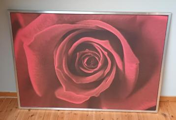 Ikea kader "Rose" Japack beschikbaar voor biedingen