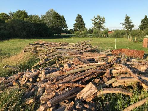 Grote partij brandhout, Tuin en Terras, Brandhout, Takken, Ophalen