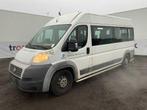 2012 Fiat Ducato Personenauto 77-ZPR-5, Euro 5, Gebruikt, Aangepast voor mindervaliden, CNG (Aardgas)