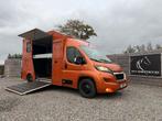 Peugeot Boxer PAARDENWAGEN MVV 3XL | DUB CAB | 2016, Dieren en Toebehoren, Paarden en Pony's | Trailers en Aanhangwagens, Ophalen