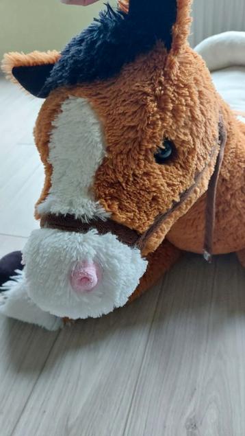 Groot paard in teddy beschikbaar voor biedingen