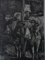 ongewone ets Gerard Jan Bos Koestal uit 1897, Antiek en Kunst, Kunst | Etsen en Gravures, Ophalen of Verzenden