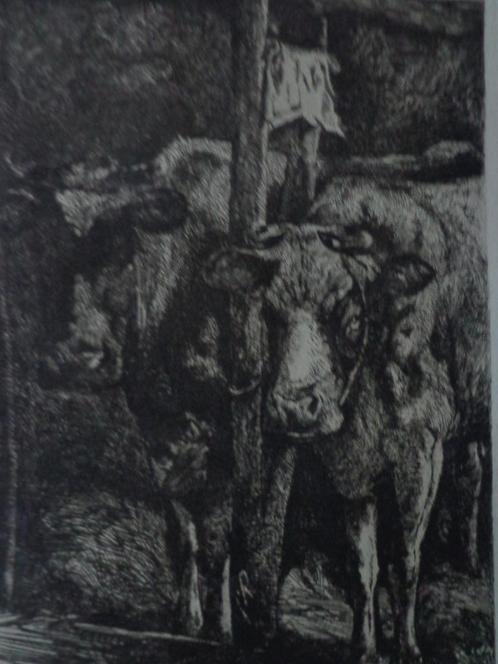 ongewone ets Gerard Jan Bos Koestal uit 1897, Antiek en Kunst, Kunst | Etsen en Gravures, Ophalen of Verzenden