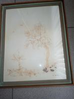 Tableau d algues d atlantique Alice herbecq, Antiquités & Art, Enlèvement ou Envoi