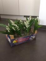 Meiklokjes, Huis en Inrichting, Woonaccessoires | Kunstplanten en Kunstbloemen, Ophalen, Zo goed als nieuw