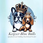 Zeer mooie kaninchen/dwergteckel pups, Dieren en Toebehoren, Honden | Teckels en Dashonden, Kaninchen, België, Fokker | Hobbymatig