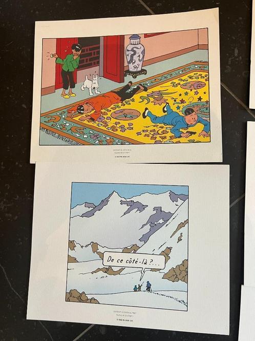 planche TINTIN, Verzamelen, Stripfiguren, Zo goed als nieuw, Plaatje, Poster of Sticker, Kuifje, Ophalen