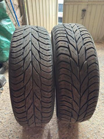 Deux pneux RainType 185/65/R15 beschikbaar voor biedingen