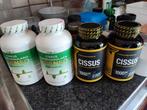 Cissus supplement voor pezen, Sport en Fitness, Ophalen of Verzenden, Nieuw
