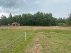 Weidemaatje gezocht omgeving Leuven-Aarschot, Weidegang