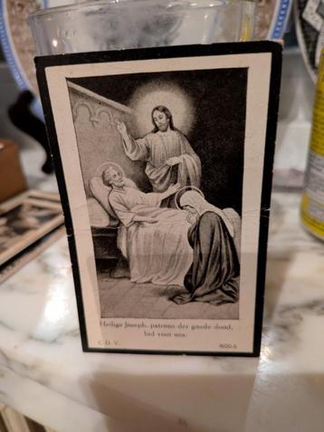 DP Clementine Rombaut  beschikbaar voor biedingen