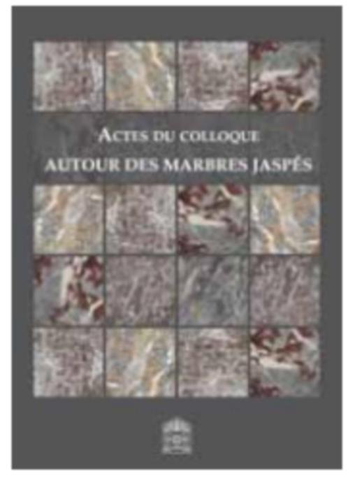Actes du colloque Autour des Marbres jaspés, Boeken, Kunst en Cultuur | Beeldend, Nieuw, Ophalen of Verzenden