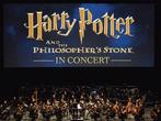 Concert Harry Potter - Absolute topplaatsen!, Twee personen