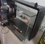 Superfish Aquarium 60L, Dieren en Toebehoren, Vissen | Aquaria en Toebehoren, Ophalen, Gebruikt, Leeg aquarium