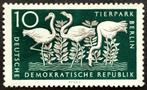 DDR: Berlin Zoo 1956  POSTFRIS, Timbres & Monnaies, Timbres | Europe | Allemagne, RDA, Enlèvement ou Envoi, Non oblitéré