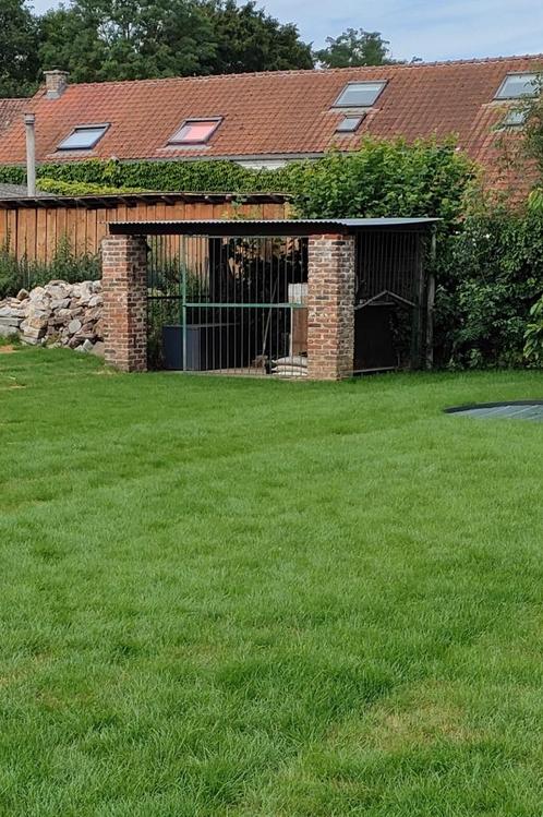 Grilles de chenil en fer (lourd), Dieren en Toebehoren, Honden-accessoires, Gebruikt, Ophalen