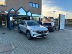 Mercedes-Benz EQB 250 Sfeerlicht - Cam - Autom Koffer - Zete, Argent ou Gris, Achat, EQB, Entreprise