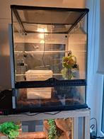 Terrarium exo terra te koop, Dieren en Toebehoren, Ophalen