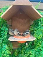 Poppen 2025, Vrouwelijk