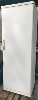 Siemens witte diepvriezer groot kastmodel, Ophalen