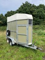 Paardentrailer, Ophalen, Gebruikt, 1½-paards trailer