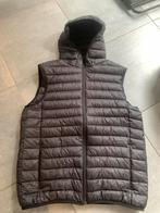 Heren bodywarmer nieuw, Nieuw, Ophalen of Verzenden